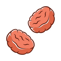 Burger patties color icon. Butchers meat. Roasted cutlet. Rissole. Meat production and sale. Butchery business. Isolated vector illustration