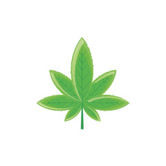 cannabis leaf plant nature icon