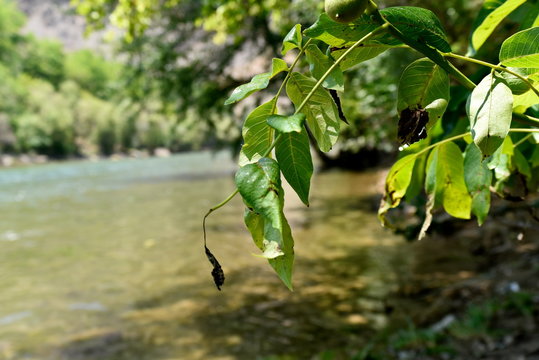 View of Zayandeh rood (Zayanderud), Esfahan, Iran at the day