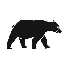 Isolated object of bear and brown symbol. Collection of bear and animal stock vector illustration.