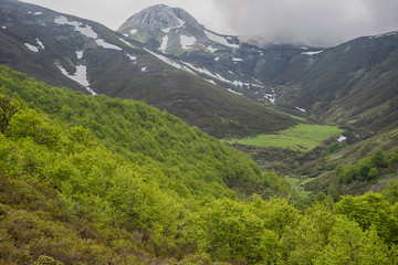 Picos de Europa national park