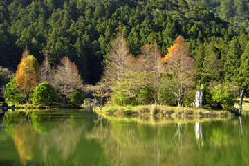 beauty of Taiwan