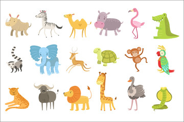 African Animals Illustration Set