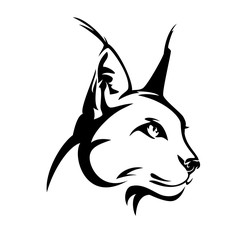 caracal wild cat head - black and white vector feline  portrait © Cattallina