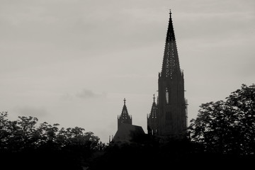 Obraz premium Freiburg im Breisgau Münster