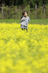 幼児(4歳児)と菜の花