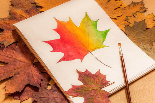close up painted maple leaf in an album on a white sheet, a brush for drawing, dry different-colored leaves around, hobbies drawing, talent, hand-made