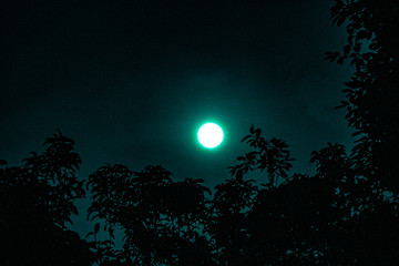 Fototapeta na wymiar Moonlit Night with stars 
