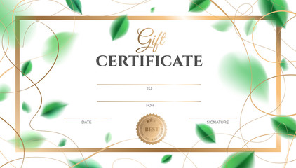 Gift certificate vector template design. Abstract creative spring layout with green leaves and golden color rich elegant decoration