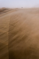 Sandstorm 1