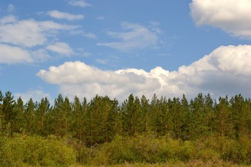 Siberia Altai krai forest road