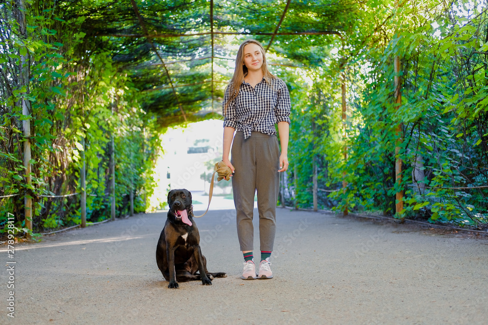 Wall mural Young girl is walking with her dog on a leash on asphalt sidewalk. Strong black labrador and stafford terrier mix breed in green summer park.