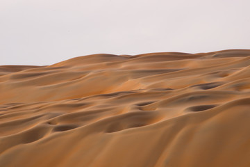 Fototapeta na wymiar Desert 2