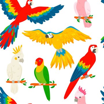 Parrots macaw red-blue isolated on white background seamless pattern vector illustration. Flying and sitting on branches. Wildlife of jungle and tropical forests of the Amazon.
