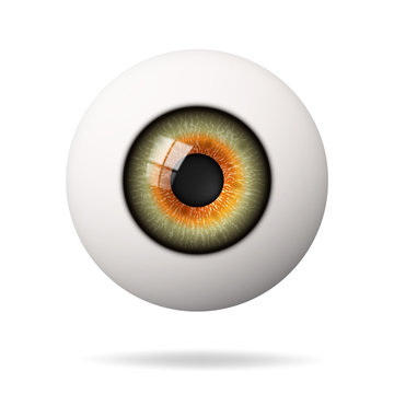 Realistic human eyeball. The retina is the foreground. Vector illustration.