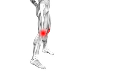 Conceptual knee human anatomy with red hot spot inflammation or articular joint pain for leg health care therapy or sport muscle concepts. 3D illustration man arthritis or bone osteoporosis disease