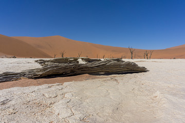 Fototapeta na wymiar Namibia Afrika Deadvlei 