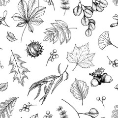 Hand drawn autumn leaf. Vector seamless pattern of tree leaves. Fall forest folliage. Maple, oak, chestnut, birch, acorn, ginkgo biloba, eucalyptus, willow, guelder rose, pine. Autumn in woods.
