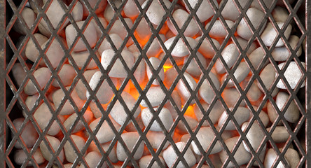 Naklejka premium Charcoal Fire And Grid
