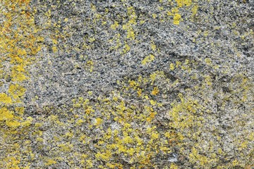 Natural stone background with textured surface and green moss. Pattern mineral with rough structure and yellow lichen. Aging colorful mountain backdrop. Natural stone surface with empty space for text