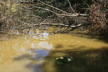 Obraz premium Lac de St-Vincent Puymaufrais
