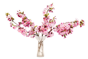 Zierkischenzweige in einer Vase