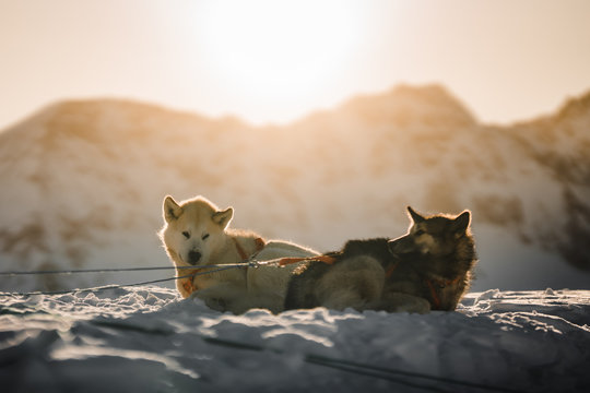 Sunbath. 