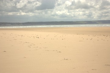 footprints on the beach