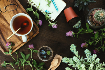 Obraz na płótnie Canvas Flatlay of flowers, succulents and tea with notebook on wooden table, propagating, gardening and re-planting or slow living concept