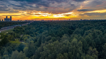 Flying over the trees of a large city Park towards the sunset