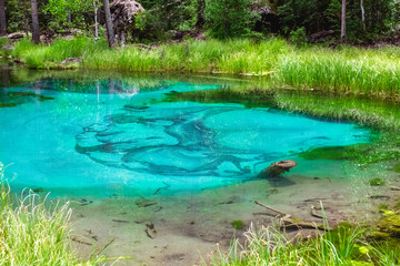 Lake of geysers with clear turquoise water. Beautiful lake in the forest of the Altai Mountains in Siberia