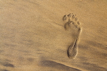 Fototapeta na wymiar Single human barefoot footprint of right foot in brown yellow sand beach background, summer vacation or climate change concept, copy space