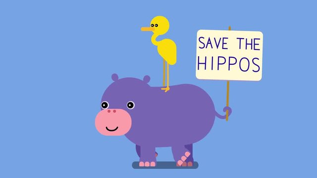 100 baby animals. Walk cycle of a baby hippo protesting with yellow bird heron and a sign. 2D animation made in 4K, loopable clip with alpha channel. Copy space