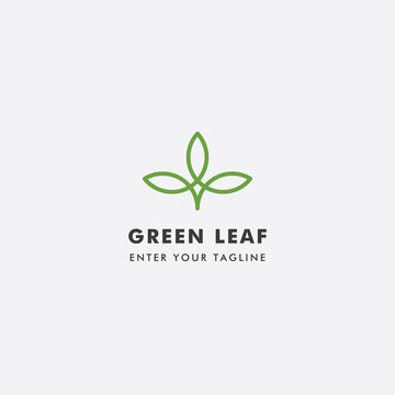 logo Green Leaf, Minimalist, elegant nature Concept. Logo Nature Vector