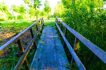 a wooden bridge leading out the forest