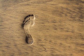 Fototapeta na wymiar Single human barefoot footprint of left foot in brown yellow sand beach background, summer vacation or climate change concept, copy space