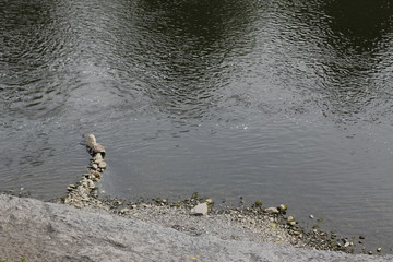 River in the suburbs of Bilbao