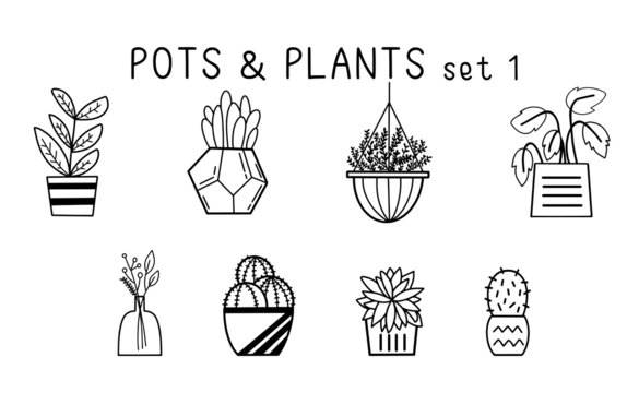 Hand drawn Pots and plants set 1. If you like this set, do check out another set  I created. 
