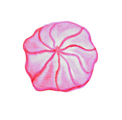 pink meringue isolated on white background
