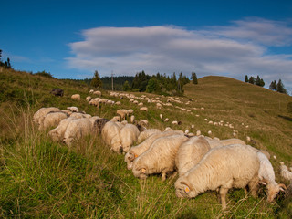 Pieniny - Carpathians Mountains  © BARONPHOTOGRAPHY.EU