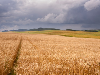 Pieniny - Carpathians Mountains 