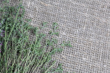 A bunch of dried grass. Thyme garden on the background of coarse linen fabric.