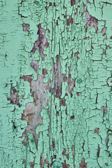 Photo of an old Board painted green. Great background