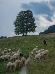 Pieniny - Carpathians Mountains  © BARONPHOTOGRAPHY.EU