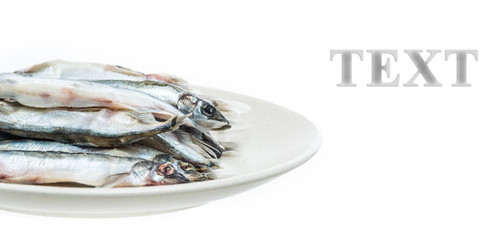 Frozen and freshly caught capelin closeup