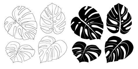 Set of vector monstera leaves isolated on white background. Exotic tropical plants. Design element for card,print, wallpaper,plant shop, travel agency. Contour and silhouette. Black and white