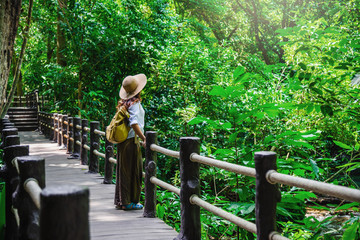 The Girl walking in the bridge and enjoying the tourism in through the mangrove forest. Waterfall Than Bok Khorani Nature Trail. Krabi, relax, travel, backpack, nature, Tourism, countryside.