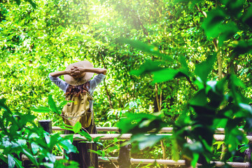 The girl is happy to travel to the mangrove forest. She is walking on the bridge and raising her hand. Stand to see nature, trees, leaves in the green. Travel, Backpack, Nature, Tourism, Rural, Style.