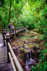 Asian couple happy travel the mangrove forest. Travel walking on a wooden bridge. Nature trail, Than bok waterfall, recreation, travel, backpacks, nature, tourism, countryside, style, forest.