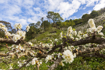 beauty of Taiwan